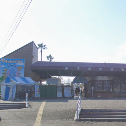 熊本のテーマパーク 遊園地 遊園地ドットコム 熊本のテーマパーク 遊園地 遊園地ドットコム